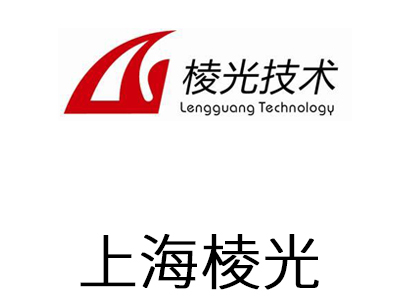 上海棱光技术有限公司