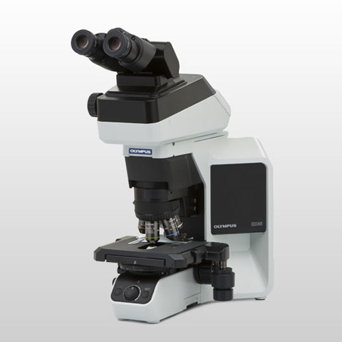 奥林巴斯BX46临床显微镜