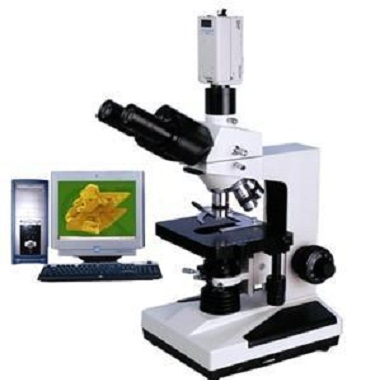 上海缔伦CPH-300相差显微镜