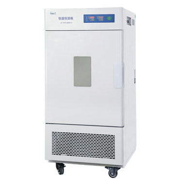 上海一恒LHS-250SC恒温恒湿箱（简易型）